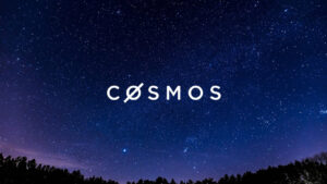 Cosmos (ATOM) coin review